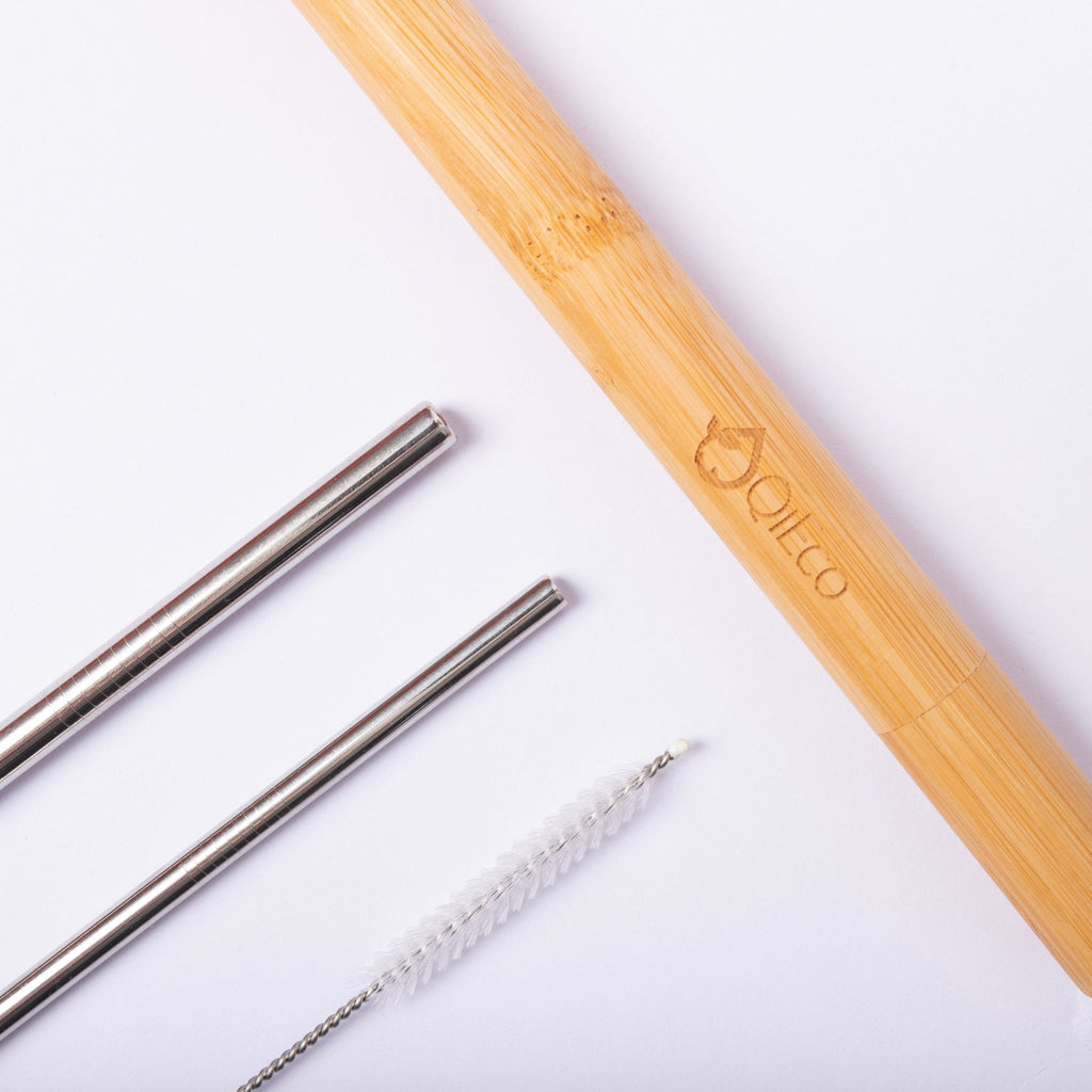 Reusable Stainless Steel Drinking Straw Travel Set - QiEco